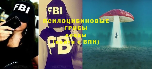 первитин Белоозёрский